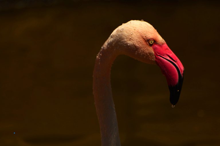 Fotoğraf sanatcısı ve eğitmeni ben!